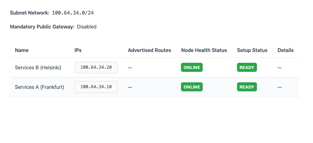 Helguard çoklu node özel ağ görünümü