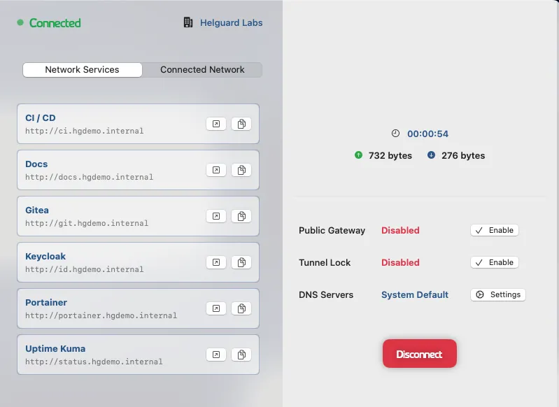 Helguard güvenli servis erişimi ekranı
